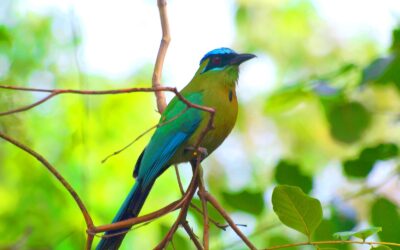 Grupo CCN impulsa iniciativas de sostenibilidad