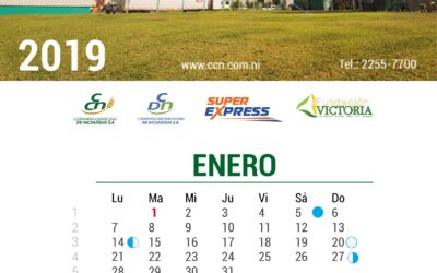 CCN, de la mano con la comunidad